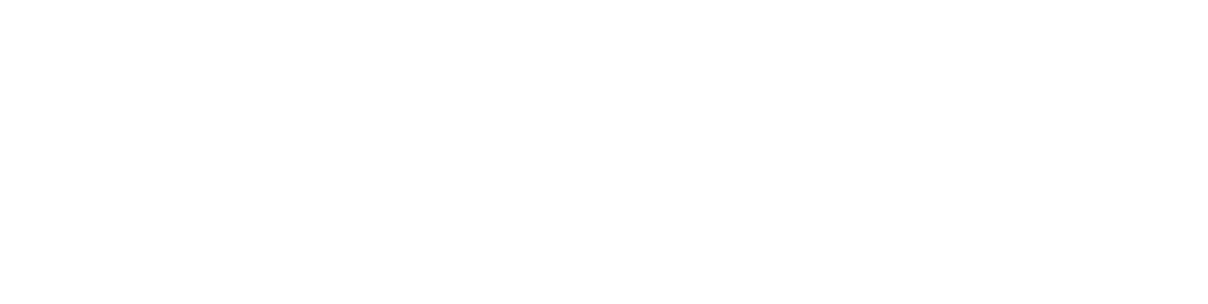 logo light