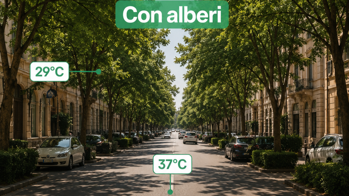 Piantare-Alberi